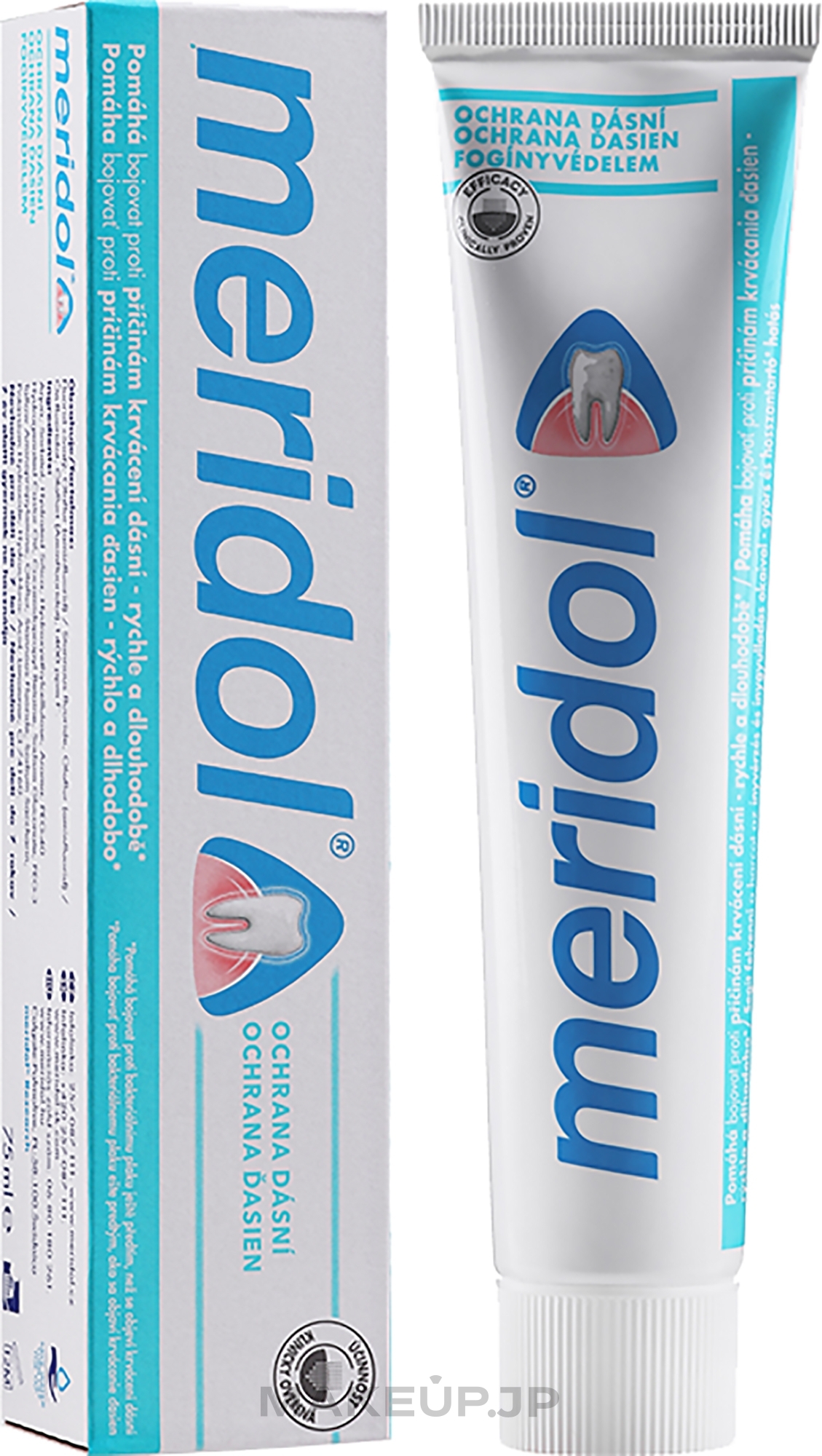 Toothpaste for Gum Protection - Meridol Gum Protection — photo 75 ml