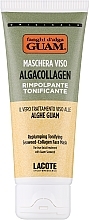 Replumping Tonifying Seaweed Collagen Face Mask - Guam Algacollagen Replumping Tonifying Seaweed-Collagen Face Mask — photo N1