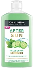 Fragrances, Perfumes, Cosmetics Shampoo - John Frieda After Sun Regenerierender Shampoo