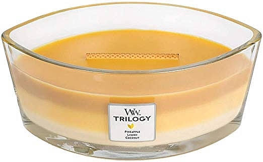 Scented Candle in Glass - Woodwick Hearthwick Flame Ellipse Trilogy Candle Fruits of Summer — photo N1