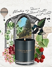 Fragrances, Perfumes, Cosmetics Scented Candle in Glass - Penhaligon's Roanoke Ivy Candle