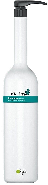 Shampoo "Tea Tree" - O'right Tea Tree Shampoo — photo N2