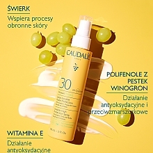 Face & Body Sun Cream - Caudalie Vinosun Protect Spray Invisible SPF30 — photo N5