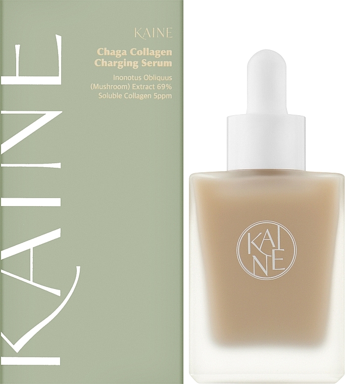 Anti-Aging Serum with Chaga Mushroom Extract - Kaine Chaga Collagen Charging Serum — photo N2