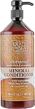 Dead Sea Minerals & Coconut Oil Conditioner - Dead Sea Collection Coconut Mineral Conditioner — photo N2