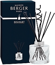 アロマディフューザー フィラーなし、222 ml、透明 - Maison Berger Spiral Bouquet Reed Diffuser Without Scent — photo N1