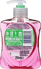 Antibacterial Liquid Soap - Carex Strawberry Laces Handwash — photo N2