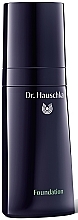 Foundation - Dr.Hauschka Foundation  — photo N1