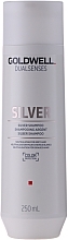 Correcting Shampoo for Gray & Blonde Hair - Goldwell Dualsenses Silver — photo N1
