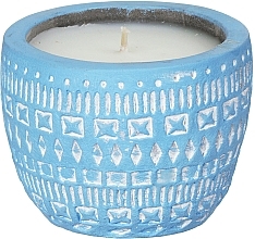 Paddywax Sonora Wisteria & Willow - Scented Candle — photo N3