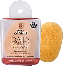 Face Konjac Sponge with Turmeric - Daily Concepts Daily Konjac Sponge Turmeric — photo N2