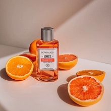 Berdoues 1902 Orange Fizz - Eau de Cologne — photo N3