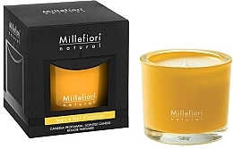 Fragrances, Perfumes, Cosmetics Scented candle "Forest and Wildflowers" - Millefiori Milano Natural Candle Legni e Fiori D'Arancio