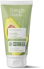 Hair Conditioner - Bottega Verde Avocado Anti-Frizz Conditioner — photo N1