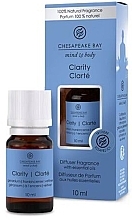 Reed Diffuser - Chesapeake Bay Candle Aroma Oil Clarity — photo N1