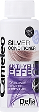 Fragrances, Perfumes, Cosmetics Blonde Hair Conditioner "Silver" - Delia Cosmetics Cameleo Silver Conditioner