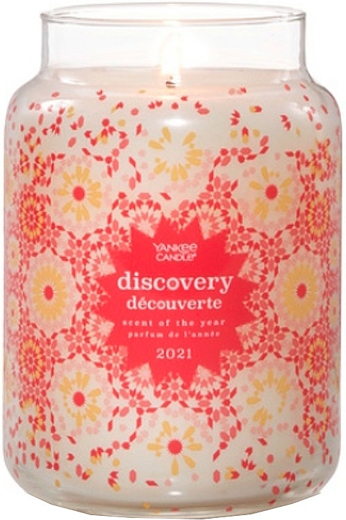 Scented Candle in Jar - Yankee Candle Discovery Scent Of The Years 2021 — photo N2