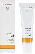 Fragrances, Perfumes, Cosmetics Moisturizing Face Mask - Dr. Hauschka Hydrating Mask