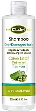 Fragrances, Perfumes, Cosmetics Aloee Vera Shampoo for Dry and Damaged Hair - Kalliston Shampoo for Dry Damaged Hair with Aloe Vera