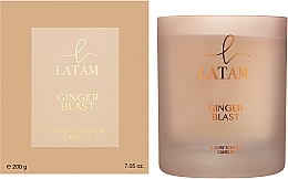 Latam Ginger Blast - Perfumed Candle — photo N2
