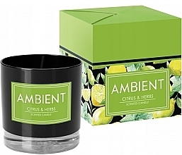 Fragrances, Perfumes, Cosmetics Citrus Fruits & Herbs Scented Candle - Bispol Ambient Citrus & Herbs Candles
