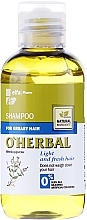 Fragrances, Perfumes, Cosmetics Mint Extract Shampoo for Oily Hair - O'Herbal