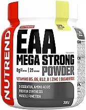 Amino Acids 'Frost Punch' - Nutrend EAA Mega Strong Powder Fruit Punch — photo N1