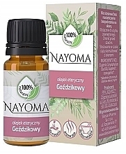 Fragrances, Perfumes, Cosmetics Clove Essential Oil - Silesian Pharma Nayoma