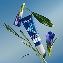 Blue Gentiana & Alpine Edelweiss Eye & Lip Contour Cream - Weleda — photo N3