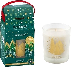 Esteban Exquisite Fir - Perfumed Candle — photo N1