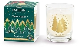 Esteban Exquisite Fir - Scented Candle — photo N1