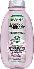 Shampoo for Long & Porous Hair - Garnier Botanic Therapy Rice Water — photo N1