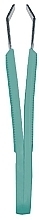 Straight Tweezers with Plastic Handles, 8.5 cm, 1061/B, blue - Titania — photo N1