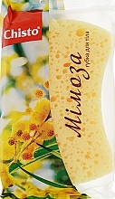 Foam Rubber Bath Sponge 'Mimosa' - Chisto — photo N1