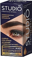 Fragrances, Perfumes, Cosmetics Permanent Brow Cream Color - Studio Professional Color Stay