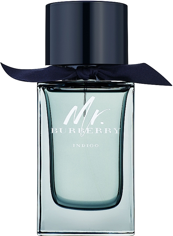 Burberry Mr. Burberry Indigo - Eau de Toilette — photo N1