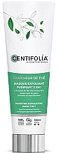 Fragrances, Perfumes, Cosmetics Cleansing Face Mask - Centifolia