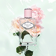 Prada Les Infusion De Rose 2017 - Eau de Parfum — photo N4