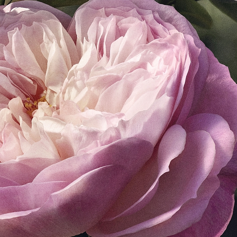 Chloé Rose Naturelle - Eau de Parfum — photo N5