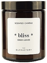 Scented Candle in a Jar - Ambientair The Olphactory Bliss Green Leaves Candle — photo N2