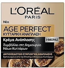 Regenerating Day Face Cream - L'oreal Paris Age Perfect Regenerating Day Cream — photo N4