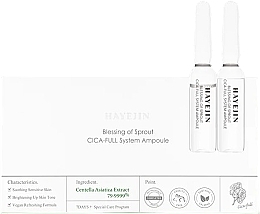 Fragrances, Perfumes, Cosmetics Face Ampoules - Hayejin Blessing of Sprout CICA-Full System Ampoule