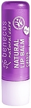 Lip Balm - Benecos Natural Care Lip Balm Cassis — photo N1