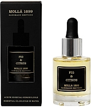 Fragrances, Perfumes, Cosmetics Cereria Molla Fig & Citrus Essential Oil Soluble In Water - Cereria Molla Fig & Citrus Essential Oil Soluble In Water