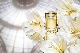 Cartier Baiser Vole Essence De Parfum - Eau de Parfum — photo N2