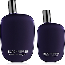 Comme des Garcons Blackpepper - Eau de Parfum — photo N25