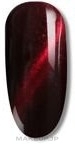 Nail Gel Polish - Reney Cosmetics Cat Eye Gel Polish — photo 003