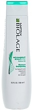 Fragrances, Perfumes, Cosmetics Anti-Dandruff Shampoo - Biolage Scalpsync Anti-Dandruff Shampoo