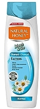 Shampoo for Normal Hair - Natural Honey Wash & Go Shampoo — photo N1