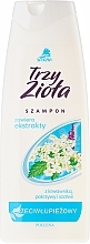 Fragrances, Perfumes, Cosmetics Anti-Dandruff Shampoo - Pollena Savona Anti-Dandruff Shampoo